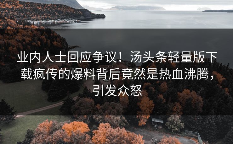 业内人士回应争议！汤头条轻量版下载疯传的爆料背后竟然是热血沸腾，引发众怒