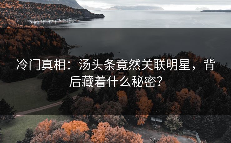 冷门真相：汤头条竟然关联明星，背后藏着什么秘密？