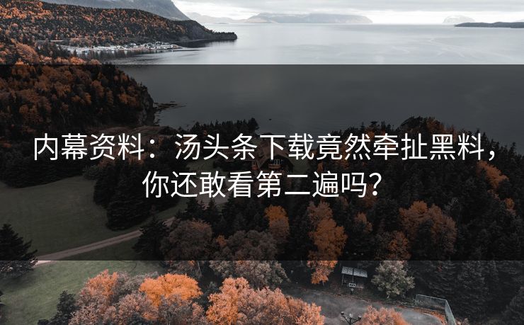 内幕资料：汤头条下载竟然牵扯黑料，你还敢看第二遍吗？