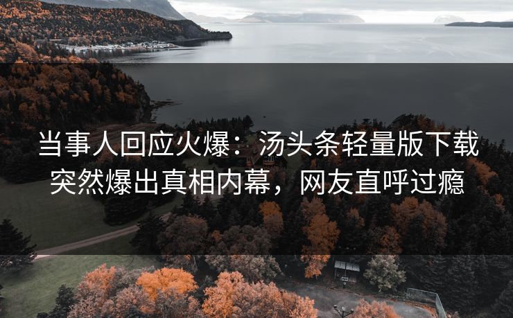 当事人回应火爆：汤头条轻量版下载突然爆出真相内幕，网友直呼过瘾