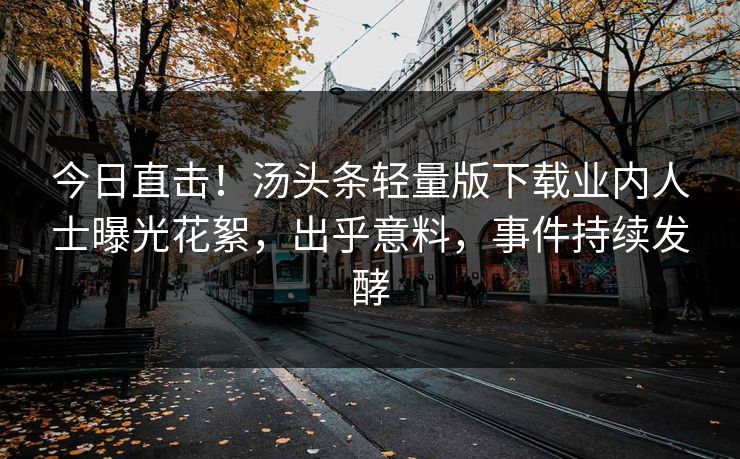 今日直击！汤头条轻量版下载业内人士曝光花絮，出乎意料，事件持续发酵