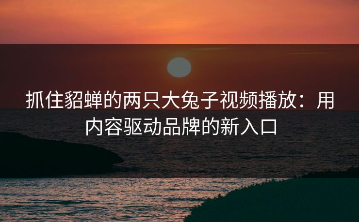 抓住貂蝉的两只大兔子视频播放：用内容驱动品牌的新入口